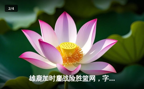 雄鹿加时鏖战险胜篮网，字母哥44分献赛季新高 - 2